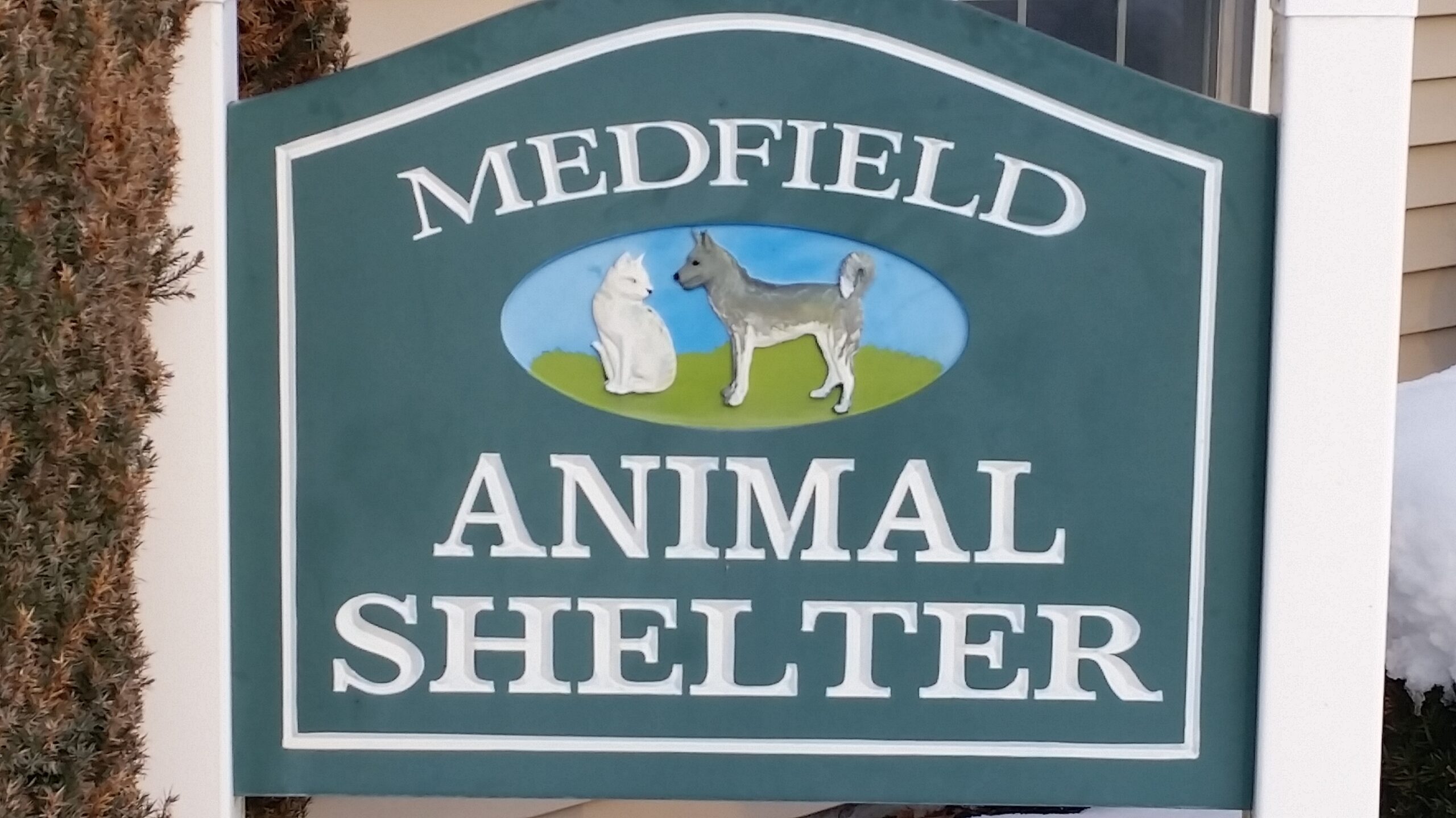 Shelter sign spring